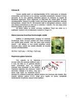 Referāts 'Gāzes kameras', 5.