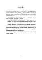 Referāts 'Tetovējumu ietekme uz cilvēku veselību', 3.