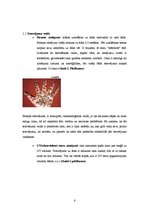Referāts 'Tetovējumu ietekme uz cilvēku veselību', 6.