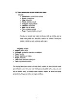 Referāts 'Tetovējumu ietekme uz cilvēku veselību', 8.