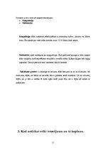 Referāts 'Tetovējumu ietekme uz cilvēku veselību', 11.