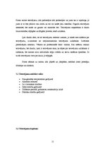 Referāts 'Tetovējumu ietekme uz cilvēku veselību', 12.