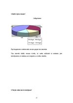 Referāts 'Tetovējumu ietekme uz cilvēku veselību', 17.