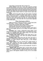 Konspekts 'Bites', 2.