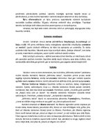 Referāts 'Ietekmju avoti romānam "Mērnieku laiki"', 2.