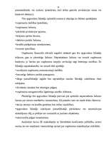 Referāts 'Uzņēmuma kredītspējas analīze', 16.