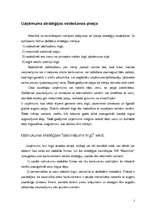 Referāts 'SIA ”Maiznīca” stratēģiskais projekts', 5.