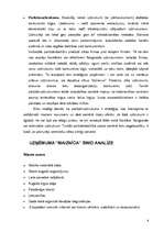 Referāts 'SIA ”Maiznīca” stratēģiskais projekts', 8.