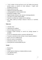 Referāts 'SIA ”Maiznīca” stratēģiskais projekts', 9.