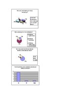 Prakses atskaite 'Prakses atskaite "Saldus Zeme"', 34.