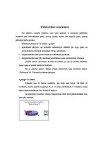 Prakses atskaite 'Prakses atskaite "Saldus Zeme"', 62.