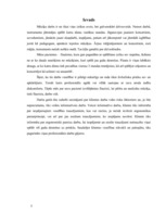 Referāts 'Ergonomisko riska faktoru izmeklēšana flautistei', 3.