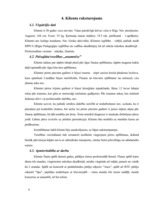 Referāts 'Ergonomisko riska faktoru izmeklēšana flautistei', 9.