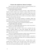 Referāts 'Ergonomisko riska faktoru izmeklēšana flautistei', 11.