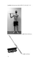 Referāts 'Ergonomisko riska faktoru izmeklēšana flautistei', 22.