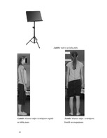 Referāts 'Ergonomisko riska faktoru izmeklēšana flautistei', 23.