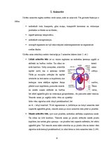 Referāts 'Zāļu tējas lietošana asinsspiediena normalizēšanai', 6.