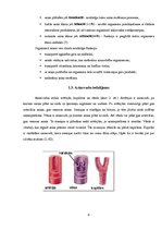 Referāts 'Zāļu tējas lietošana asinsspiediena normalizēšanai', 8.