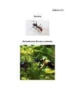 Referāts 'Dzīvnieku sabiedriskā uzvedība', 30.