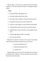 Referāts 'Ielu bērnu problēma Latvijā', 10.