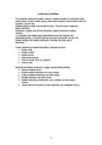 Konspekts 'Informatīvā sistēma viesnīcai', 4.