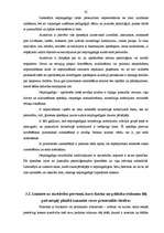 Diplomdarbs 'Aizstāvība kriminālprocesā pirmstiesas izmeklēšanā', 45.