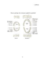 Konspekts 'Mūsdienīgas tehnoloģijas zobu ārstniecībā Latvijā', 21.