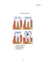 Konspekts 'Mūsdienīgas tehnoloģijas zobu ārstniecībā Latvijā', 23.