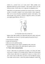 Diplomdarbs 'Ķirurģiskas ārstēšanas iespējas pēcdzemdību izmaiņām vēdera priekšēja sienā', 13.