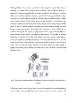 Diplomdarbs 'Ķirurģiskas ārstēšanas iespējas pēcdzemdību izmaiņām vēdera priekšēja sienā', 21.