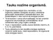 Prezentācija 'Esteri un tauki', 9.