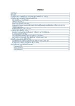 Paraugs 'Prakses atskaite', 1.