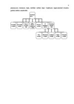 Paraugs 'Prakses atskaite', 4.