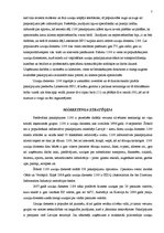 Paraugs 'Prakses atskaite', 7.