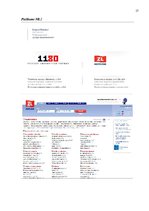 Paraugs 'Prakses atskaite', 17.