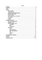 Referāts 'Internets', 1.