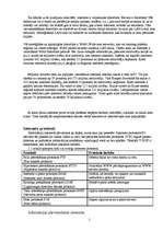 Referāts 'Internets', 5.