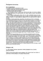 Referāts 'Internets', 13.