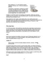 Referāts 'Internets', 17.