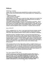 Referāts 'Internets', 19.