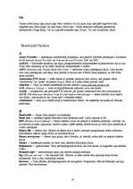 Referāts 'Internets', 30.