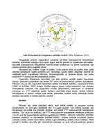 Referāts 'Vienota pedagoģiskā procesa nozīme pusaudžu ar valodas traucējumiem komunikatīvā', 5.