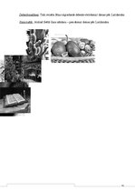 Referāts 'Kristietība Eiropā', 16.