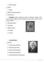 Referāts 'Kristietība Eiropā', 19.