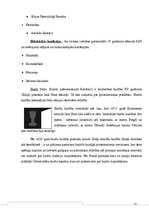 Referāts 'Kristietība Eiropā', 20.