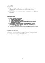 Paraugs 'Organisma enerģētiskā vielmaiņa', 2.