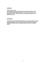 Paraugs 'Organisma enerģētiskā vielmaiņa', 4.