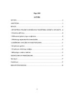 Referāts 'Mājaslapas izveide SIA X', 2.