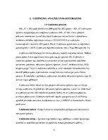 Referāts 'Mājaslapas izveide SIA X', 11.