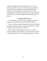 Referāts 'Mājaslapas izveide SIA X', 13.